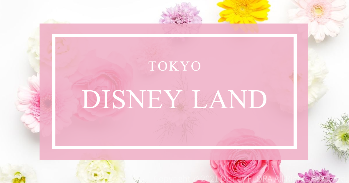 Tokyo Disney Land